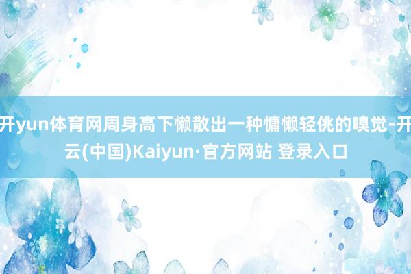 开yun体育网周身高下懒散出一种慵懒轻佻的嗅觉-开云(中国)Kaiyun·官方网站 登录入口