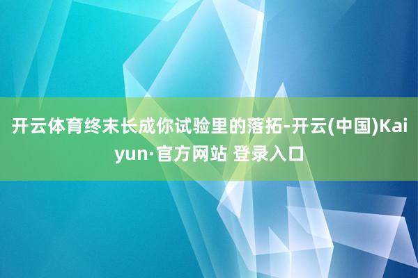 开云体育终末长成你试验里的落拓-开云(中国)Kaiyun·官方网站 登录入口
