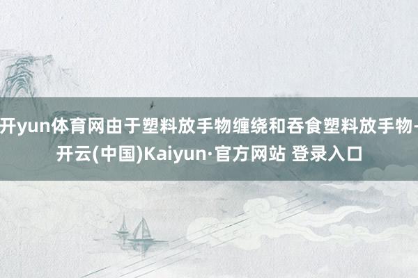 开yun体育网由于塑料放手物缠绕和吞食塑料放手物-开云(中国)Kaiyun·官方网站 登录入口