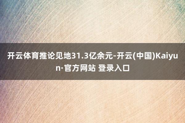 开云体育推论见地31.3亿余元-开云(中国)Kaiyun·官方网站 登录入口